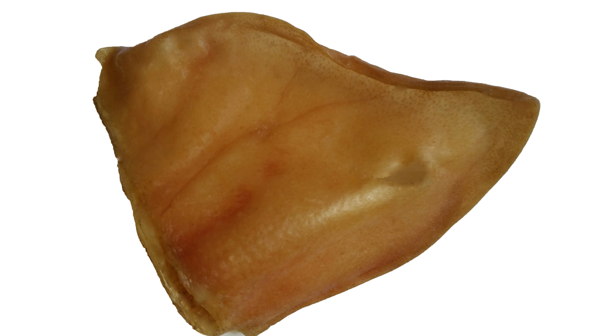 Pig ear Bulk (100 counts) Gâteries pour chiens Norpur